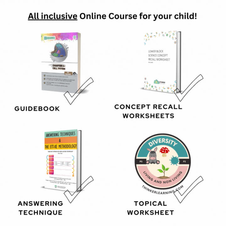 Homepage Thinker Learning